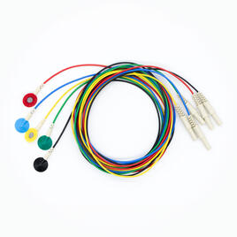 Set with 5 sintered electrodes